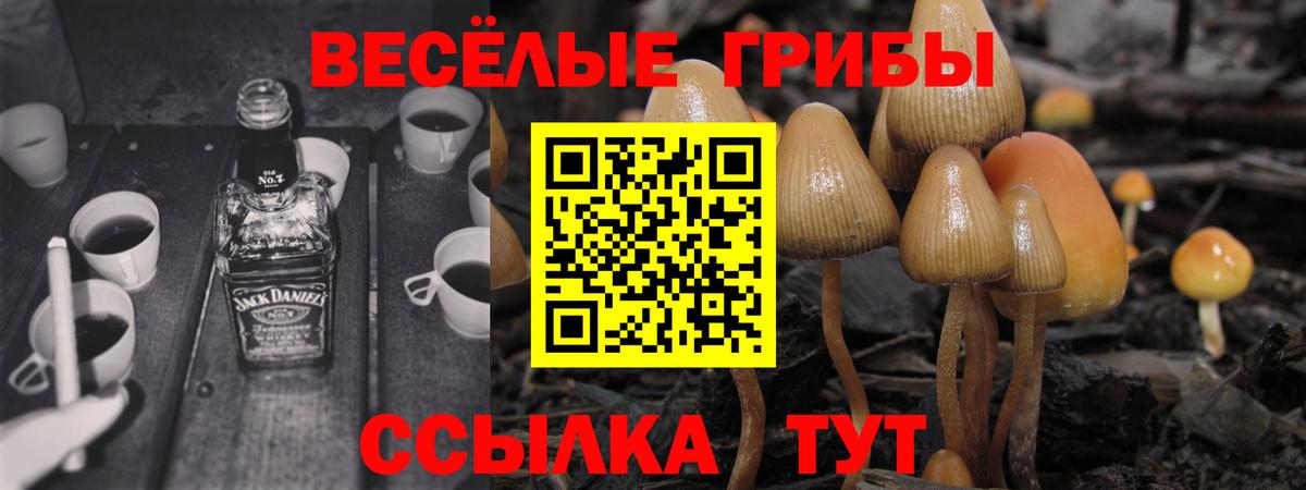Галлюциногенные грибы мухоморы  Вход с VPN  Партизанск 